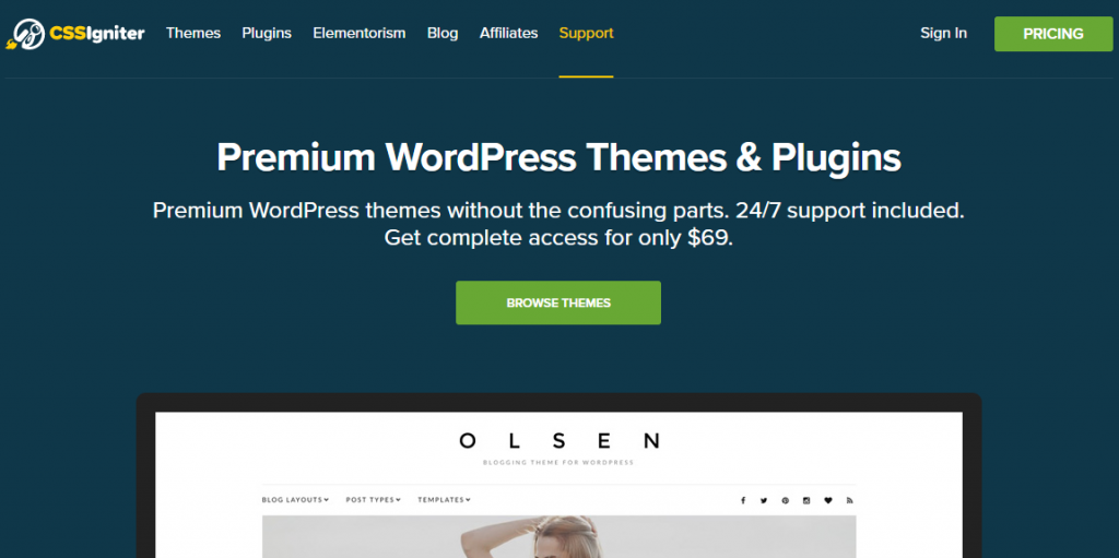 CSSIgniter Themes and Plugins Review